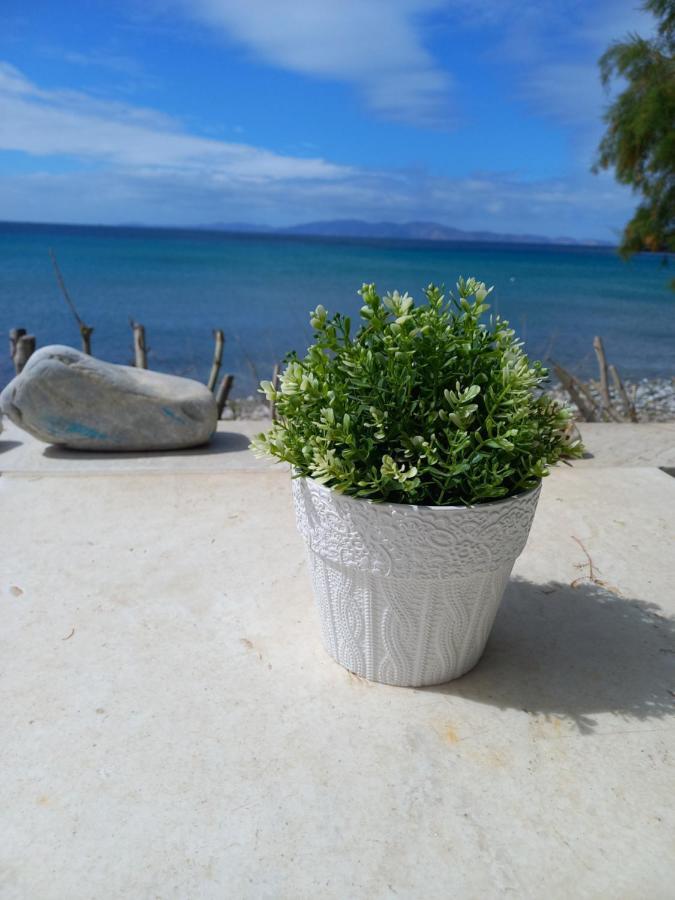 "Sea Front" Rose'S House Villa Kardhiani Exterior photo